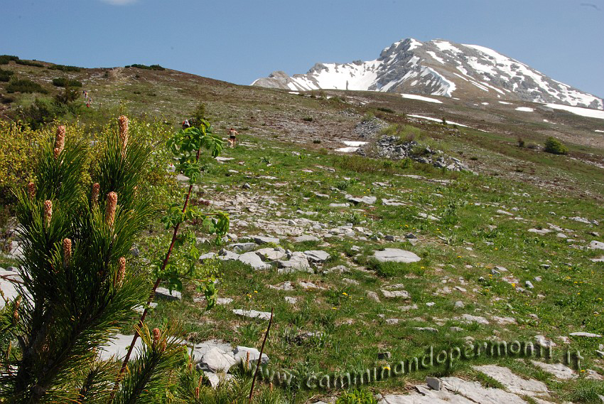 27 Sentiero Rifugio Capanna 2000.JPG